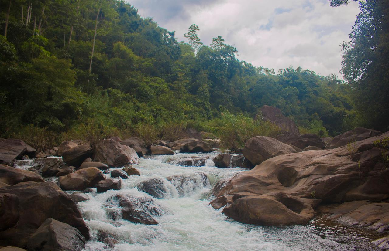 Jungle River Ginigathena Esterno foto