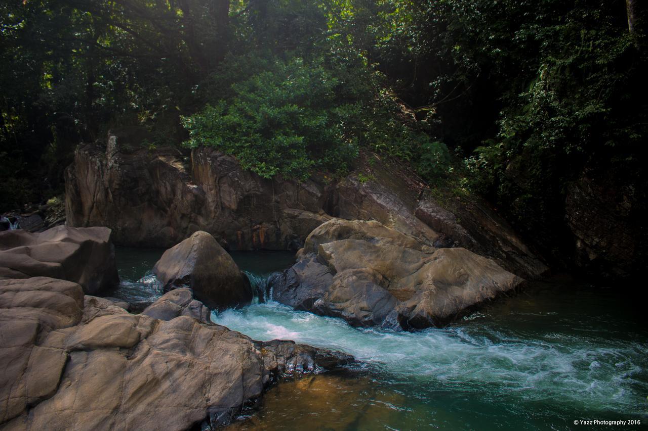 Jungle River Ginigathena Esterno foto