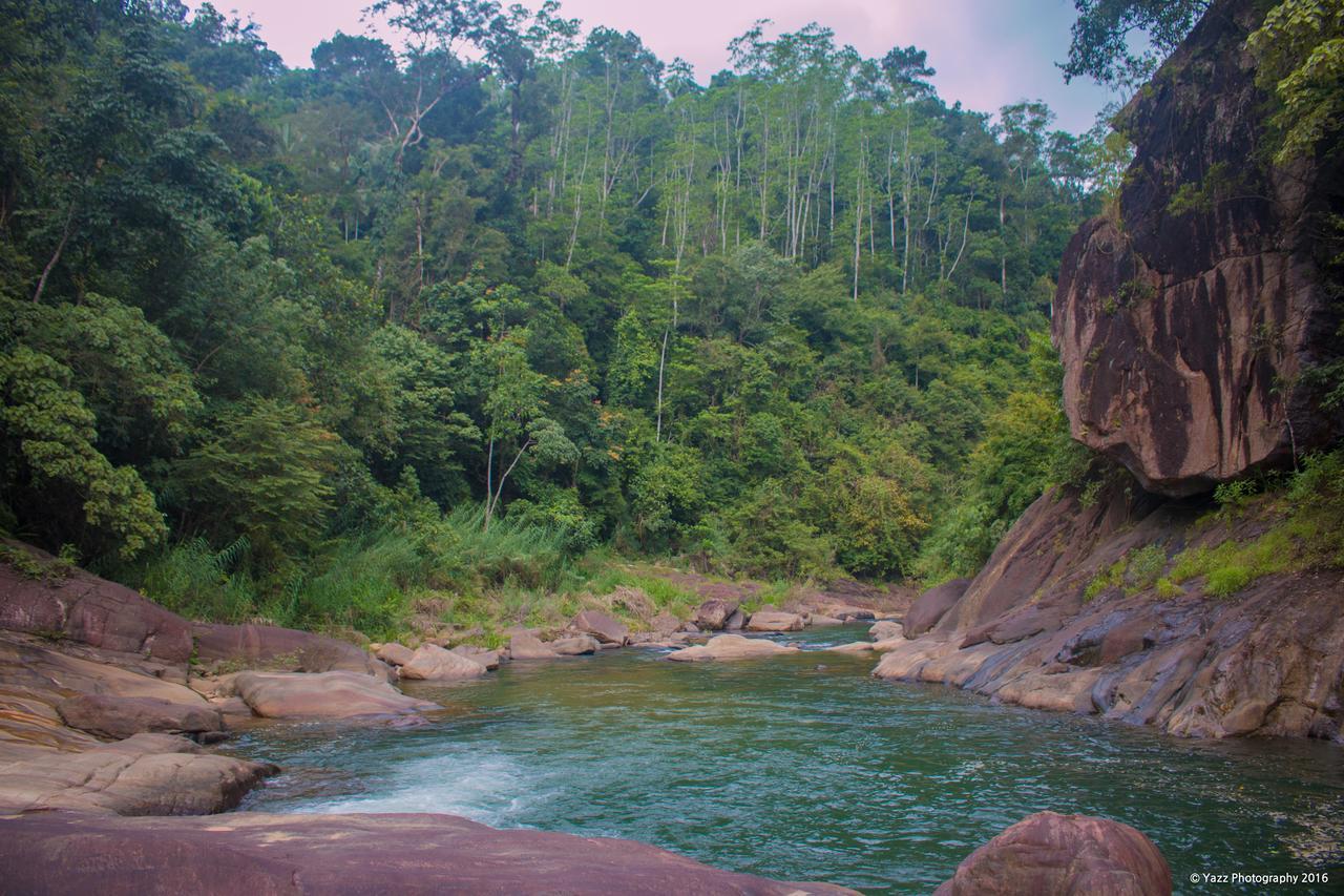 Jungle River Ginigathena Esterno foto