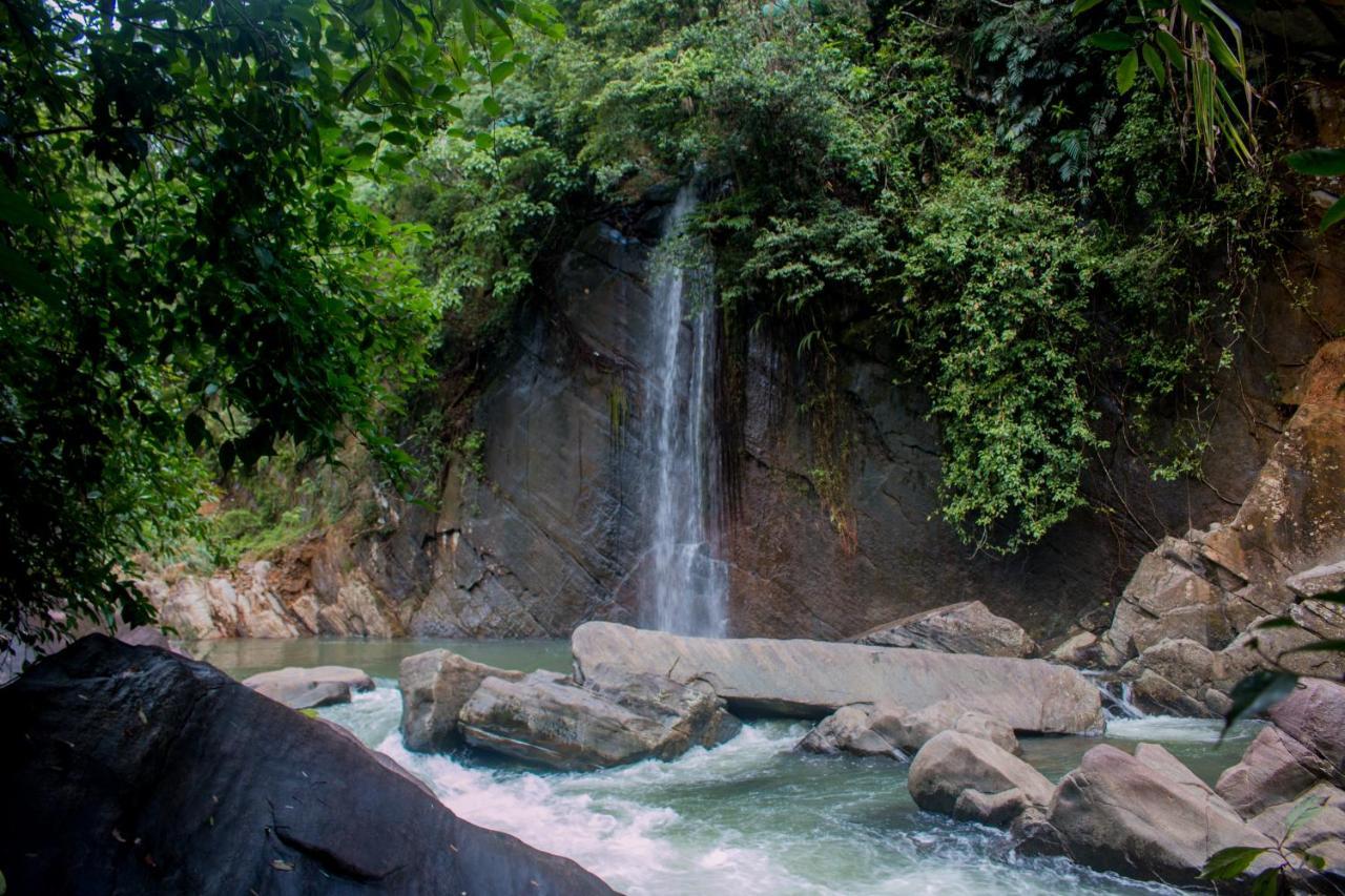 Jungle River Ginigathena Esterno foto
